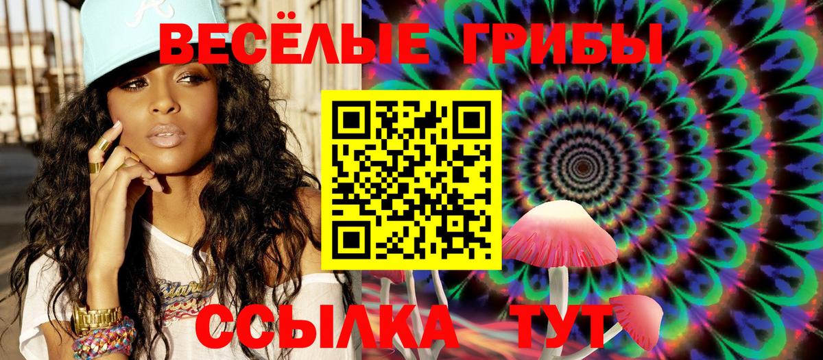 Кимры  Галлюциногенные грибы GOLDEN TEACHER  Вход с VPN 