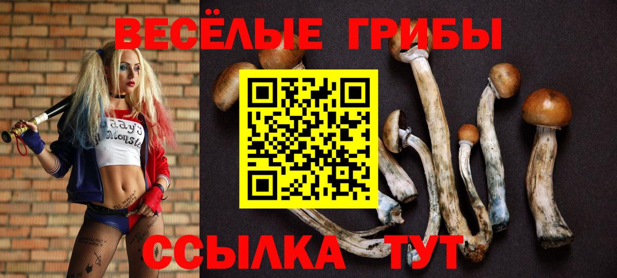 Бошки Шишки  ГАШИШ  Alpha PVP СОЛЬ кристаллы  Кимры  Вход с VPN  МЕФ   Экстази 