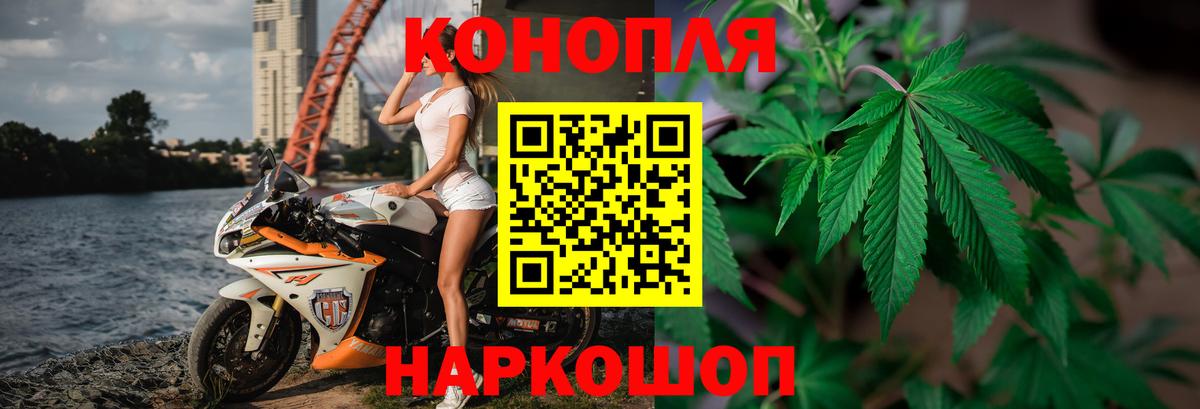 Канабис Amnesia  МАРИХУАНА планчик  Кимры  Конопля план  Канабис SATIVA & INDICA  Вход с VPN 